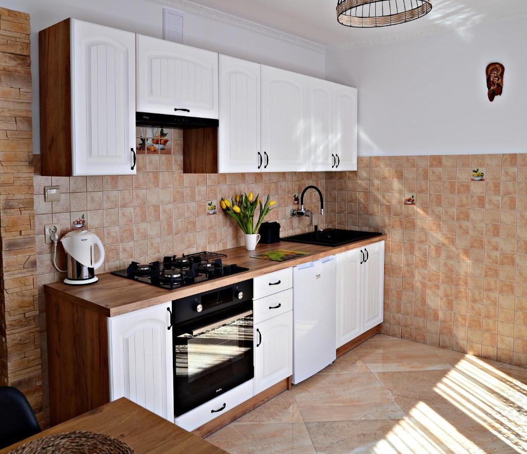 Apartament Z Tarasem I Pokoje Klimatyzowane -Drozdowka Solina Солина Екстериор снимка