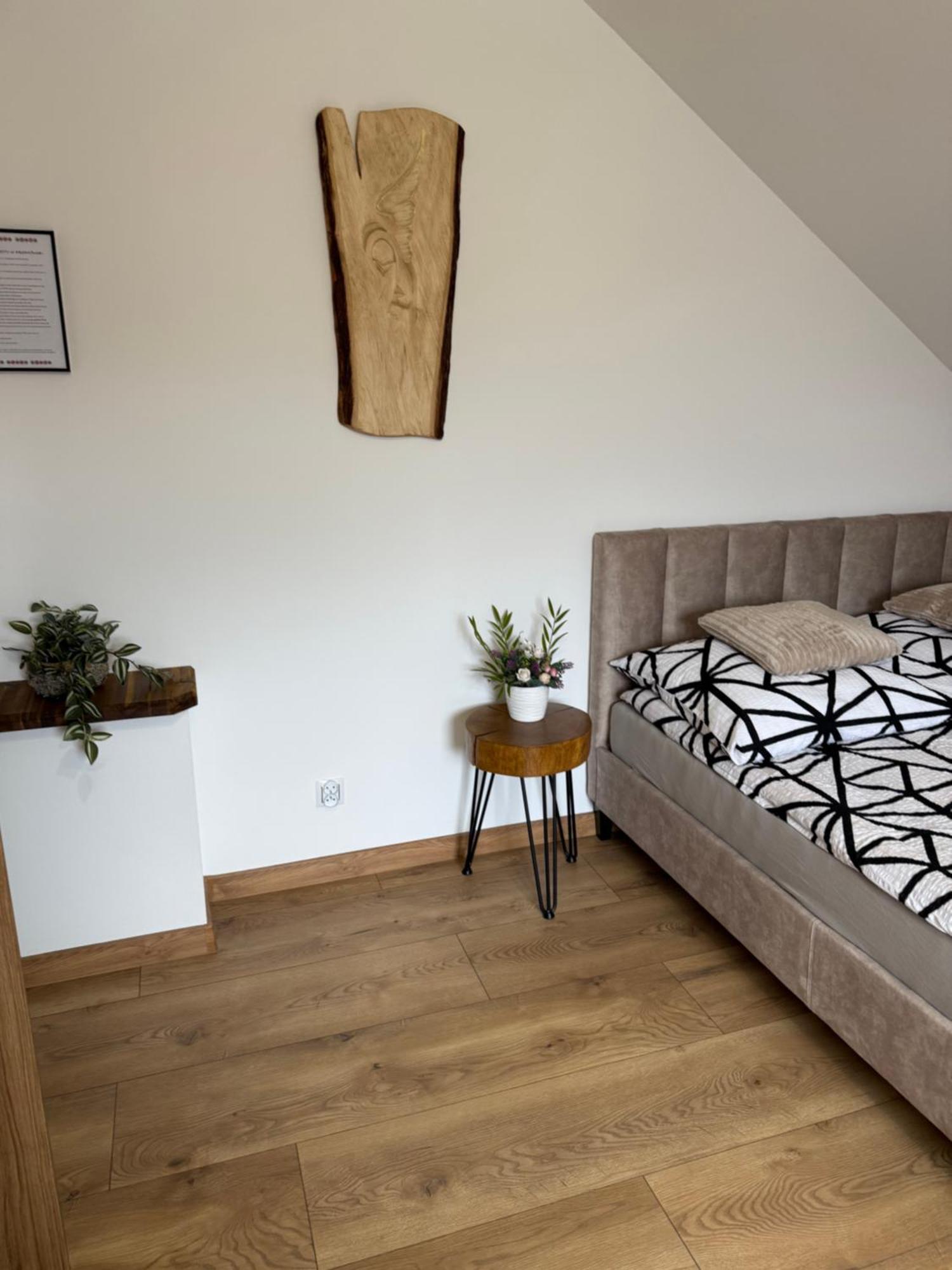 Apartament Z Tarasem I Pokoje Klimatyzowane -Drozdowka Solina Солина Екстериор снимка